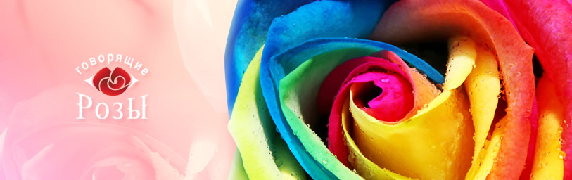 Говорящие Розы